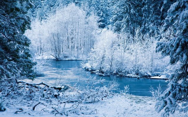 River snowy forest blue sky free wallpaper - medium preview image