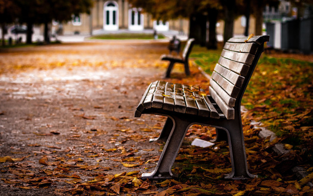 Park bench leaf covered ground free wallpaper - medium preview image