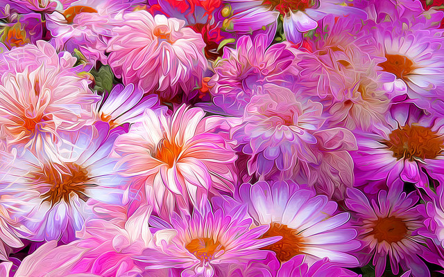 Pink flower blooming digital painting free wallpaper - medium preview image