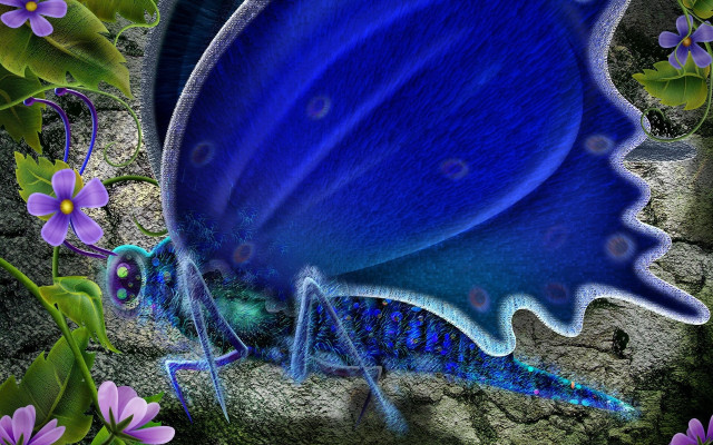 Blue butterfly purple flowers garden free wallpaper - medium preview image