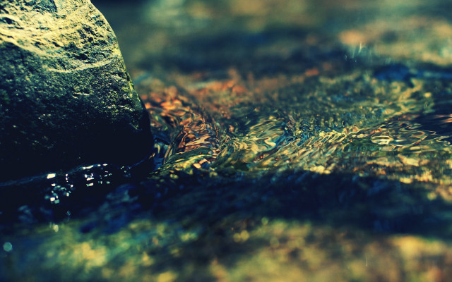 Water bottle nature macro night free wallpaper - medium preview image