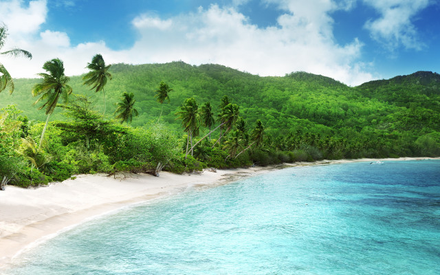 Beach trees water mountain blue free wallpaper - medium preview image
