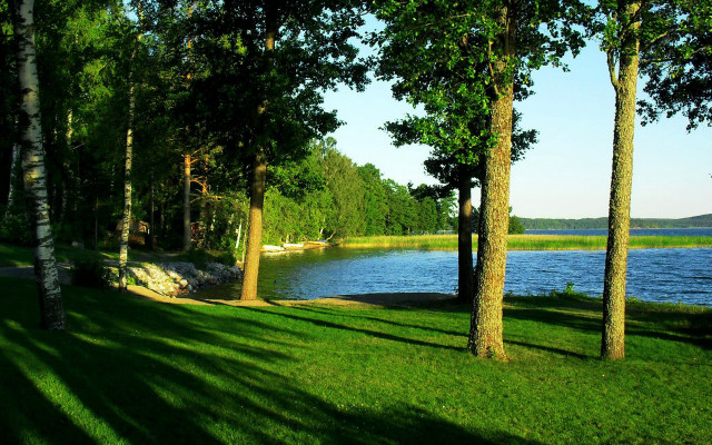 Grassy forest lake boats ecological free wallpaper - medium preview image