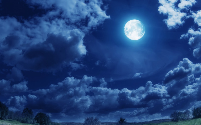 Full moon night sky forest free wallpaper - medium preview image