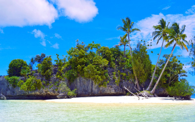 Tropical island palm beach boat free wallpaper - medium preview image
