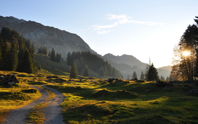 Grassy field path mountains trees free wallpaper - medium preview image