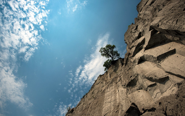 Lone tree rocky cliff blue free wallpaper - medium preview image