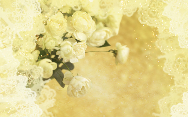 White flowers yellow background lace free wallpaper - medium preview image