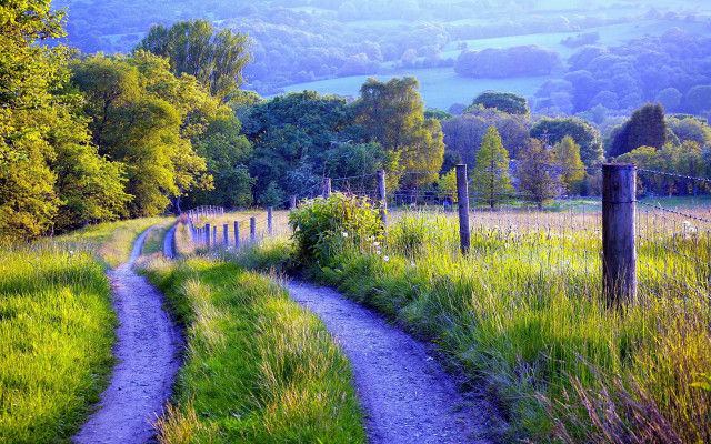 Dirt road green field forest #4 free wallpaper for desktop - medium preview image