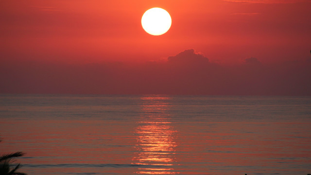 Sunset ocean bird clouds mountain free wallpaper - medium preview image