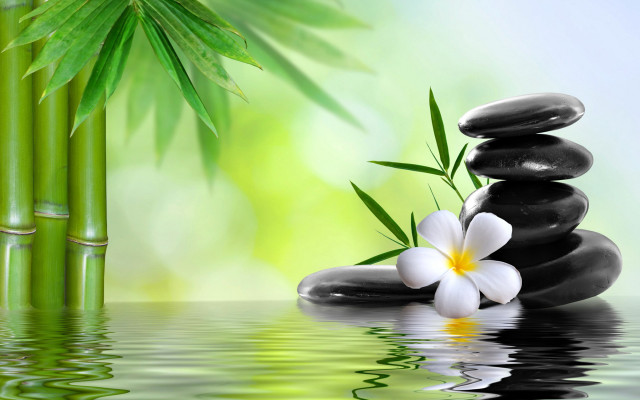 Bamboo white flower rocks water free wallpaper - medium preview image