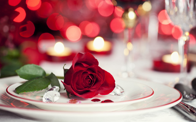 Romantic rose stilllife bokeh wine free wallpaper - medium preview image