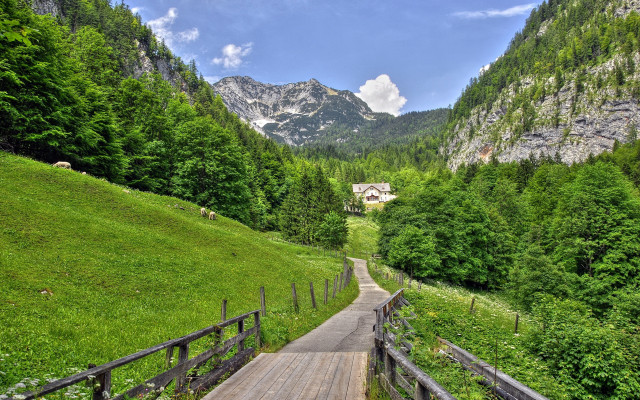Wooden path green hillside mountain free wallpaper - medium preview image
