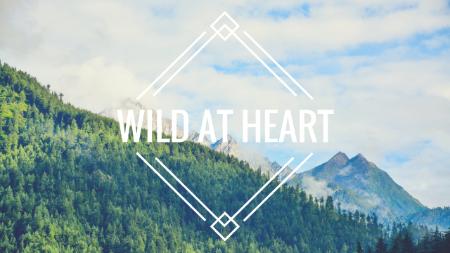 Mountain wild heart forest triangle free wallpaper - medium preview image