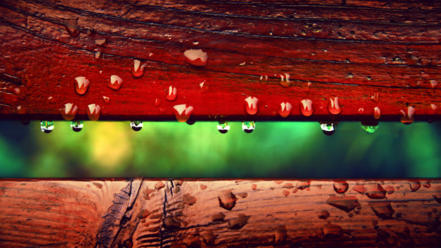 Wooden plank rain drops autumn free wallpaper - medium preview image