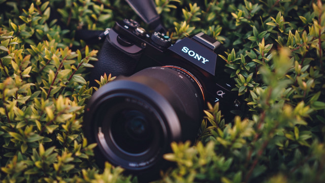 Camera bush sony lens photorealism free wallpaper - medium preview image