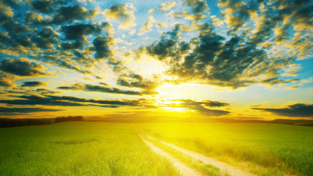 Dirt road field sunset clouds #3 free wallpaper - medium preview image