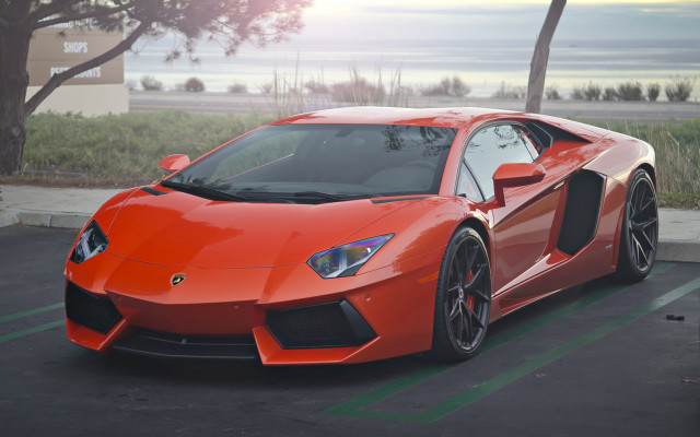 Red sports car beach tree free wallpaper - medium preview image