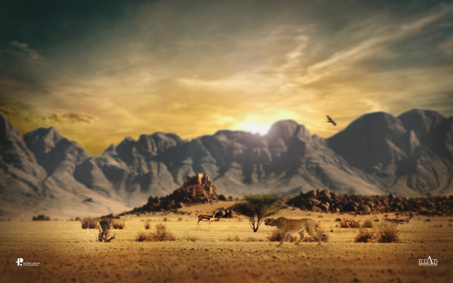 Desert mountain bird flying sky free wallpaper - medium preview image