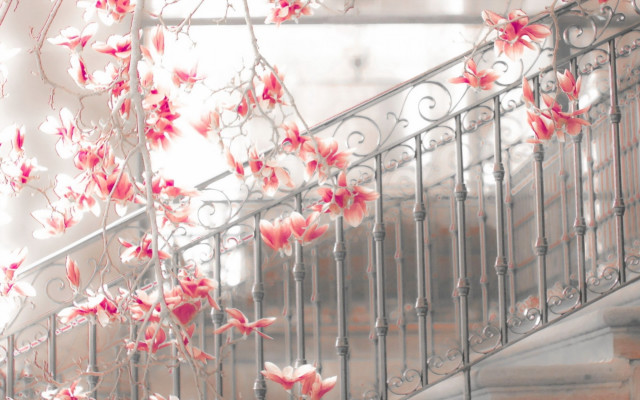 Staircase flower railings pink cherry free wallpaper - medium preview image