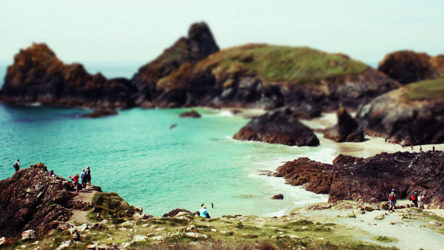 Rocky beach pleinair tiltshift bird free wallpaper - medium preview image