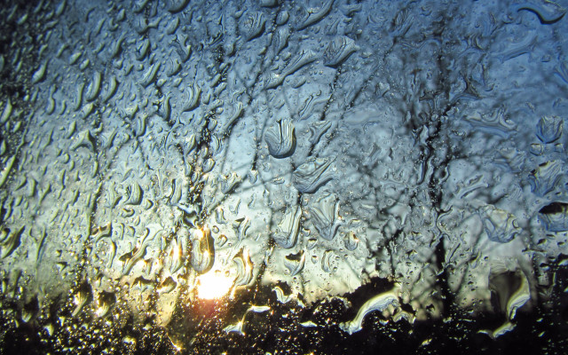 Rainy sunshine impressionism macro coral free wallpaper - medium preview image