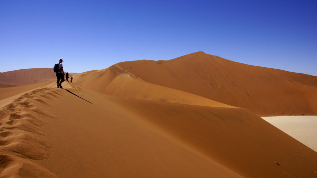 Man dog desert mountains sand free wallpaper - medium preview image