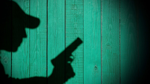 Shadow person gun green wall free wallpaper - medium preview image