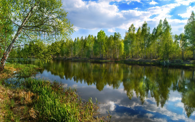 Lake trees grass cloudy sky #4 free wallpaper - medium preview image