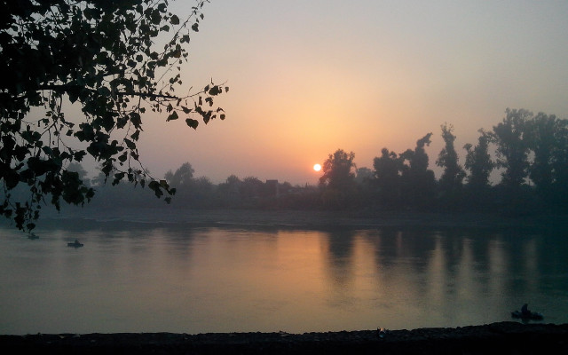Sunset lake trees ducks forest free wallpaper - medium preview image