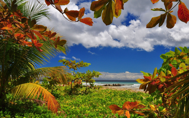Lush green beach ocean sky free wallpaper - medium preview image