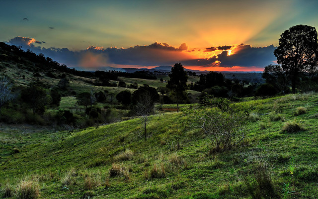 Sunset grassy field tree clouds free wallpaper - medium preview image