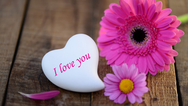 Heart shaped box flower love free wallpaper - medium preview image