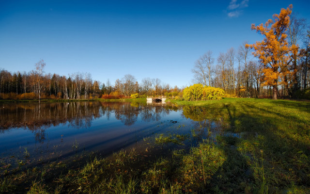 Lake bridge autumn tiltshift ecological free wallpaper - medium preview image