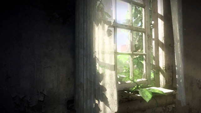 Window plant growing dark room free wallpaper - medium preview image