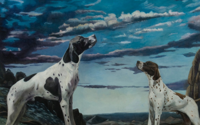 Dogs rocky outdoor ocean sunset free wallpaper - medium preview image