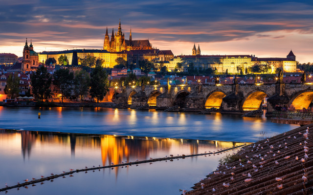 City bridge castle night lights #4 free wallpaper - medium preview image