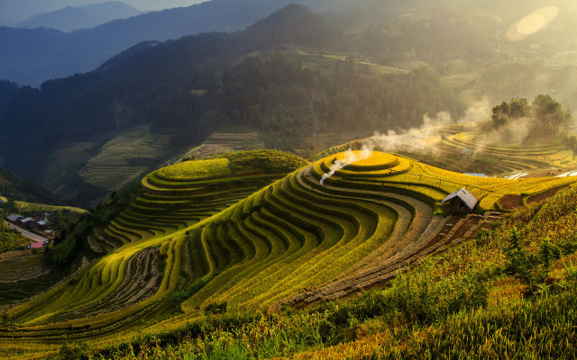 Rice field house mountain fog free wallpaper - medium preview image