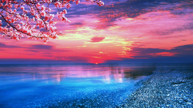 Sunset ocean pink tree magic free wallpaper - medium preview image