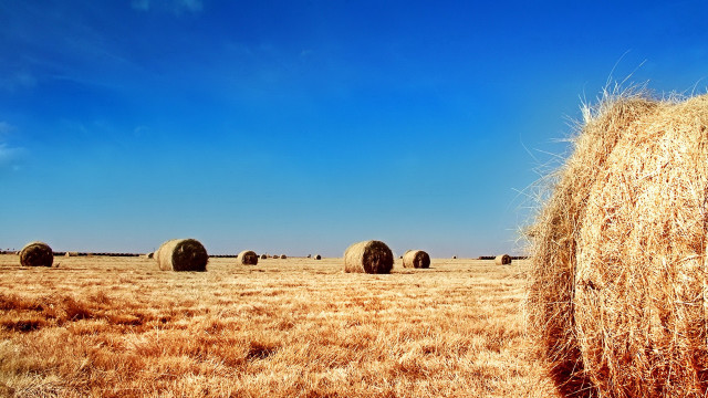 Field haybales blue sky clouds free wallpaper - medium preview image