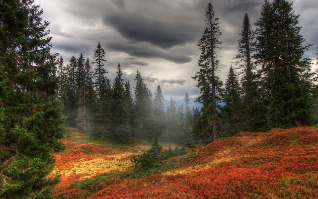 Autumn forest lake sunset clouds free wallpaper - medium preview image