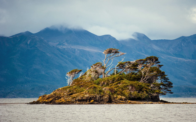 Small island trees lake mountains #2 free wallpaper - medium preview image