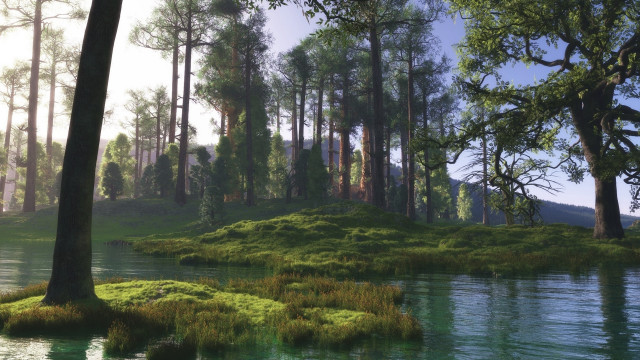 Forest lake trees grassy bank free wallpaper - medium preview image