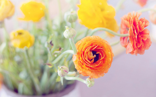 Vase flower autumn blurry background free wallpaper - medium preview image