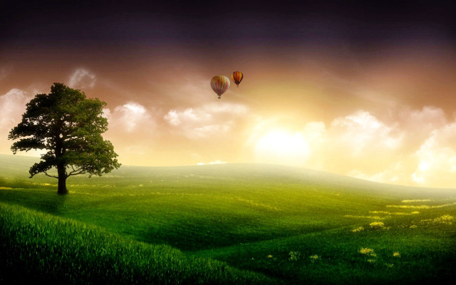 Tree hot air balloon sunset #4 free wallpaper - medium preview image