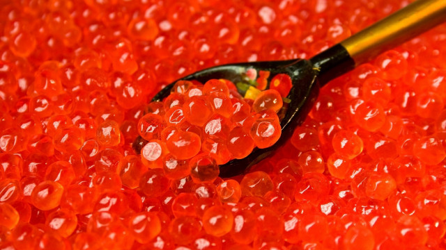 Spoon red beads yellow handle free wallpaper - medium preview image