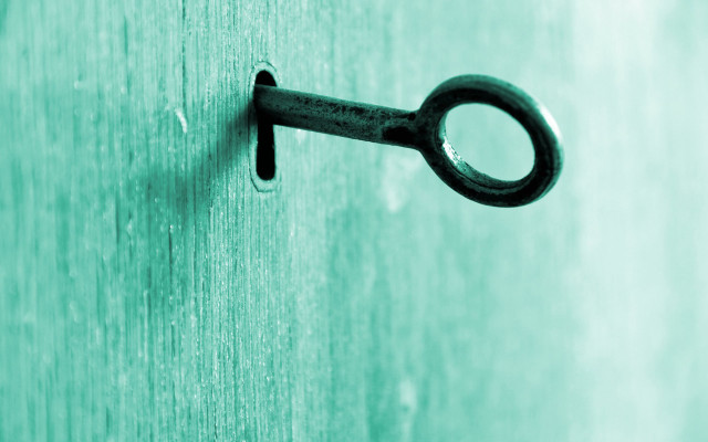 Black handle green door beach free wallpaper - medium preview image