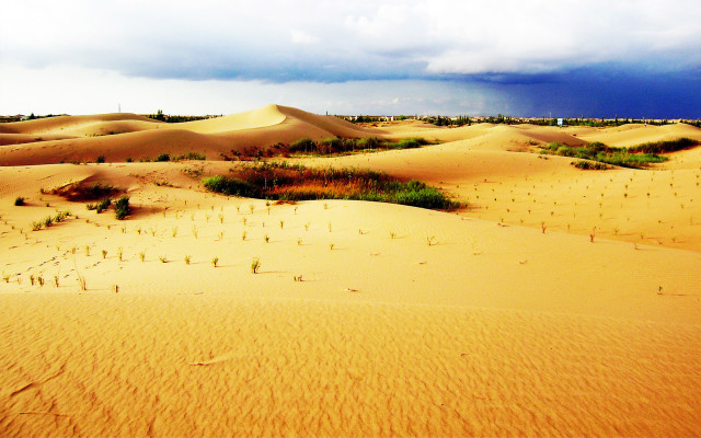 Desert trees cloudy sky mountain free wallpaper - medium preview image