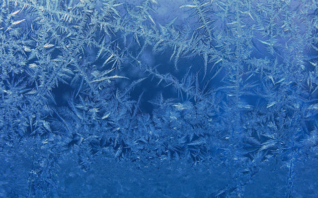 Frosty window blue sky leaves free wallpaper - medium preview image