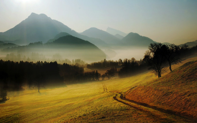 Grassy field dirt path mountains #2 free wallpaper - medium preview image